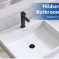 Hibbent Upgraded 3-in-1 Bathroom Sink Drain Strainer, Universal Pop-Up Plug, Removable Stainless Steel Basket-Style Hair Catcher