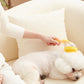🐾 Pet Bath Brush with Long Handle & Shampoo Dispenser | No-Bend Scrubbing & Built-in Soap Control