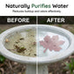 ⏳Time-Limited Special⏰Universal Fit Bird Bath Purifier