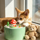 🍄 Mushroom-Shaped Ceramic Pet Water Fountain | Whimsical & Hygienic Flowing Water Bowl