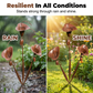 Calla Lily Garden Stake with Bell Chimes