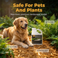 🌿 Mulch & Gravel Anchor Glue – Weatherproof, Pet-Safe, Instant Spray. 40% OFF Get Yours Today!