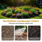 🌿 Mulch & Gravel Anchor Glue – Weatherproof, Pet-Safe, Instant Spray. 40% OFF Get Yours Today!